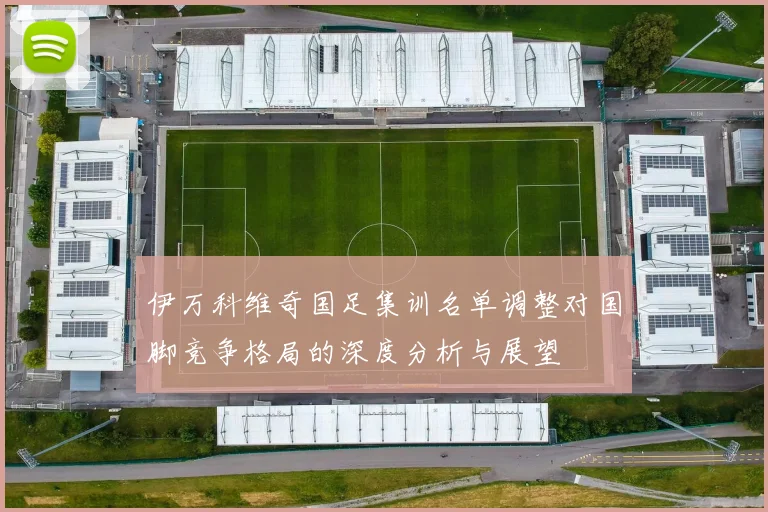 伊万科维奇国足集训名单调整对国脚竞争格局的深度分析与展望